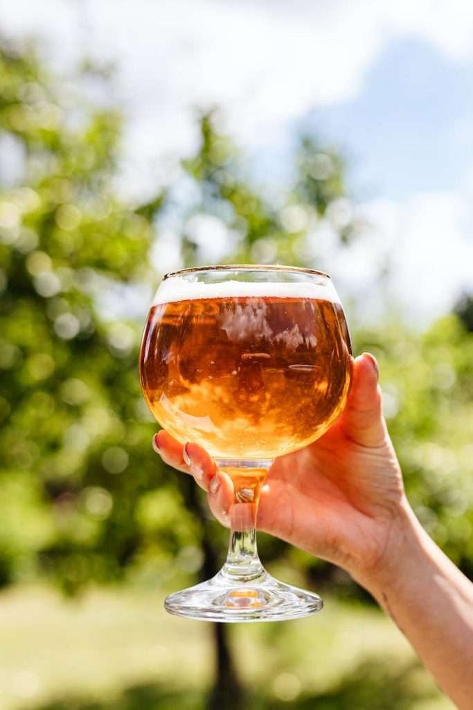 hand holding a glass full of beer